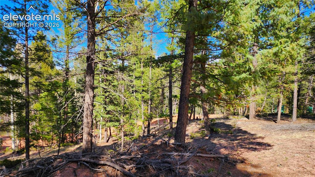 178 Gerka Lane Florissant CO 80816