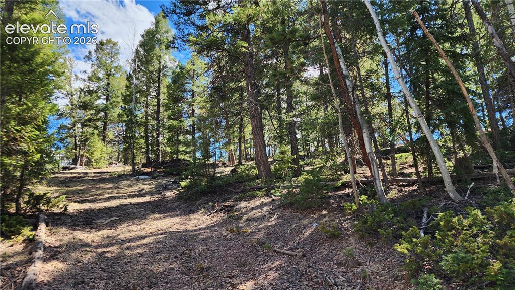 178 Gerka Lane Florissant CO 80816