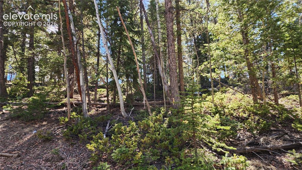 178 Gerka Lane Florissant CO 80816