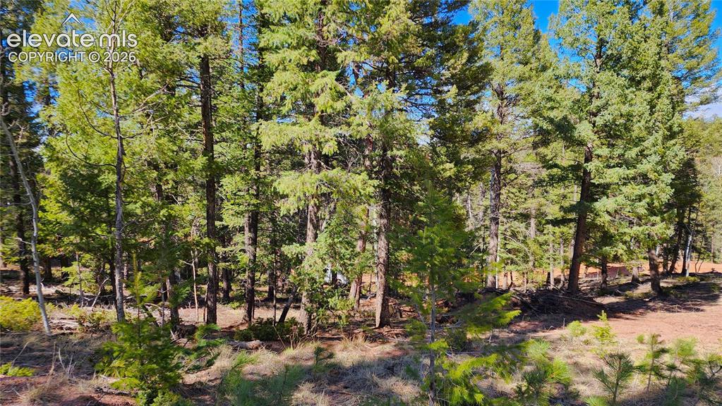 178 Gerka Lane Florissant CO 80816