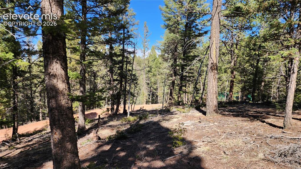 178 Gerka Lane Florissant CO 80816