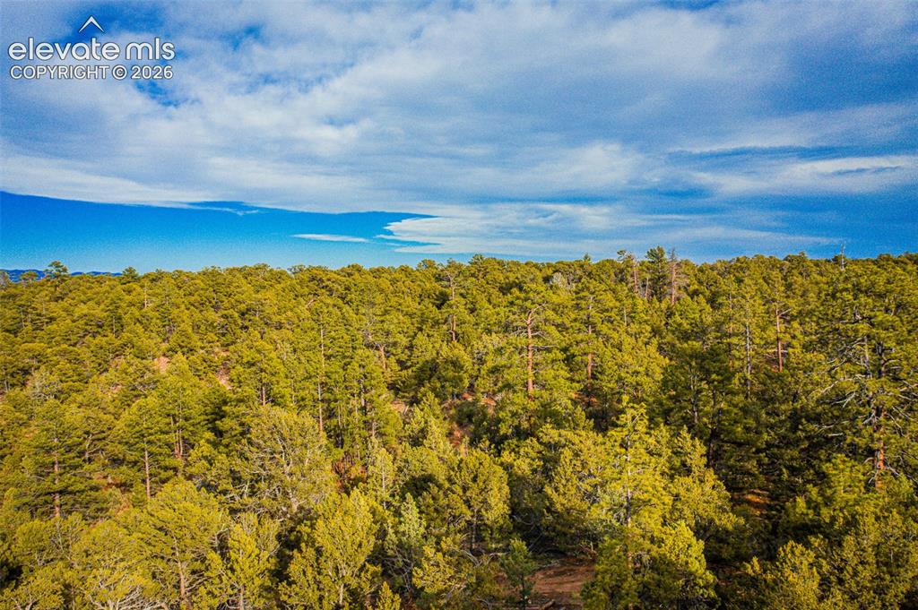 Lot 3 County Road 634.2 Gardner CO 81040