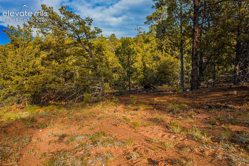 Lot 3 County Road 634.2 Gardner CO 81040