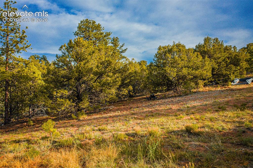 Lot 3 County Road 634.2 Gardner CO 81040