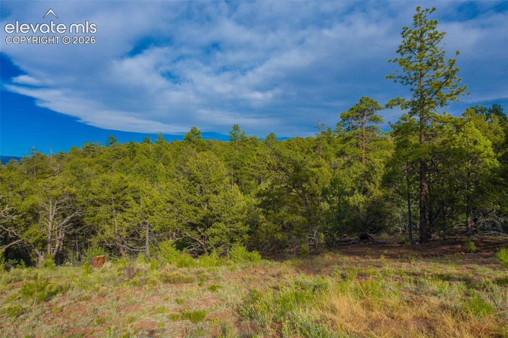 Lot 3 County Road 634.2 Gardner CO 81040