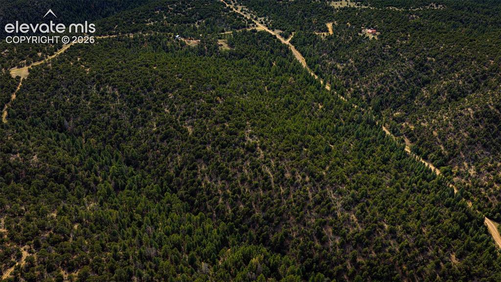 Lot 3 County Road 634.2 Gardner CO 81040