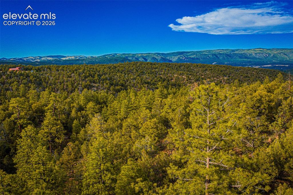 Lot 3 County Road 634.2 Gardner CO 81040
