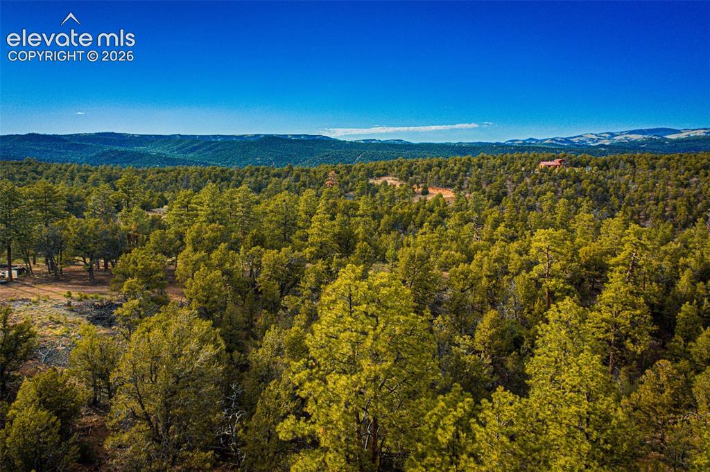 Lot 3 County Road 634.2 Gardner CO 81040