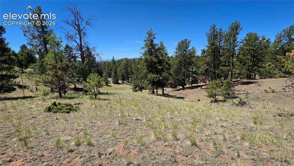 1366 N Mountain Estates Road Florissant CO 80816
