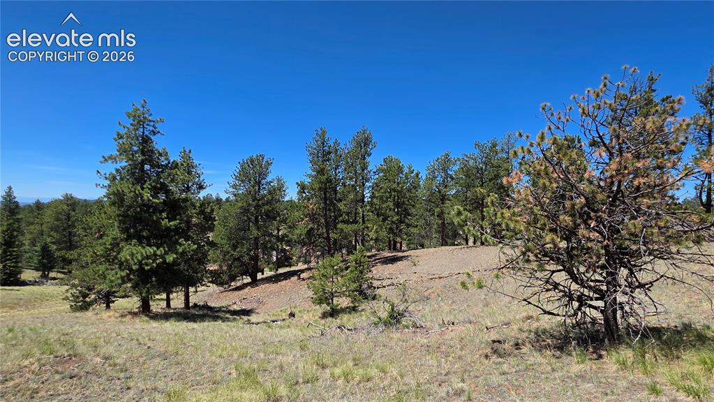 1366 N Mountain Estates Road Florissant CO 80816