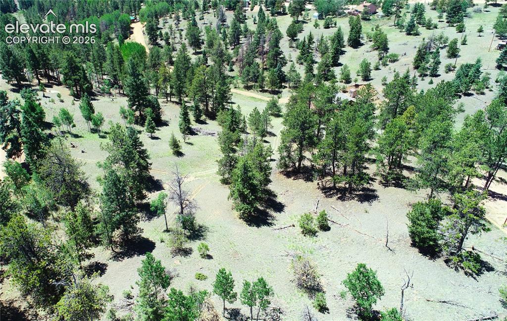 1366 N Mountain Estates Road Florissant CO 80816