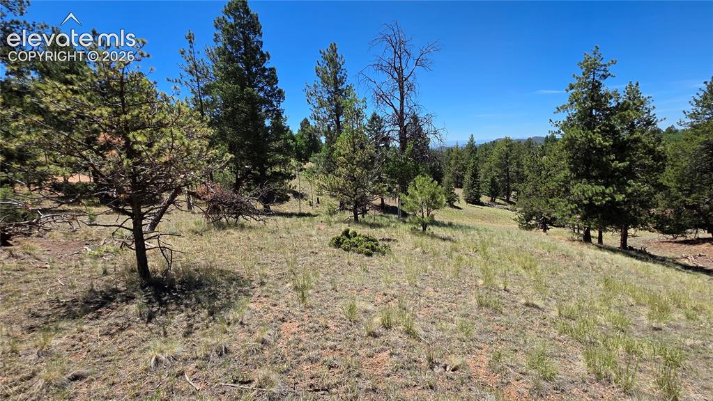 1366 N Mountain Estates Road Florissant CO 80816