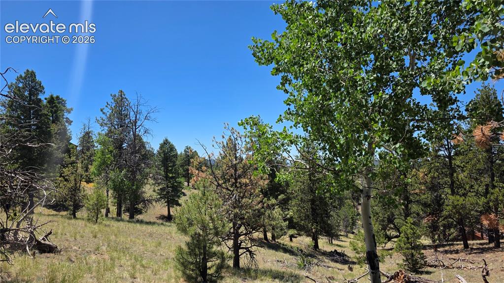 1366 N Mountain Estates Road Florissant CO 80816