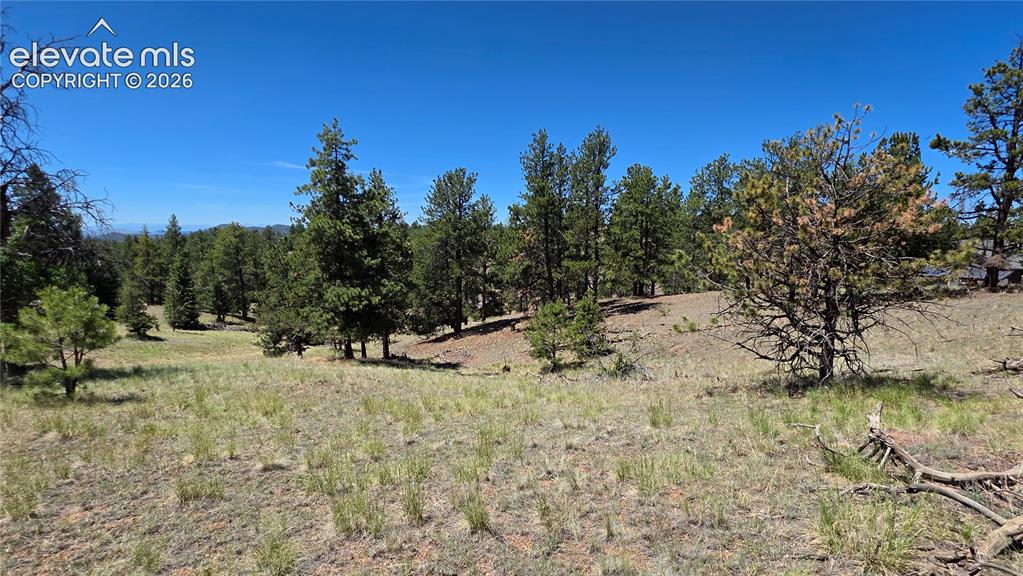 1366 N Mountain Estates Road Florissant CO 80816
