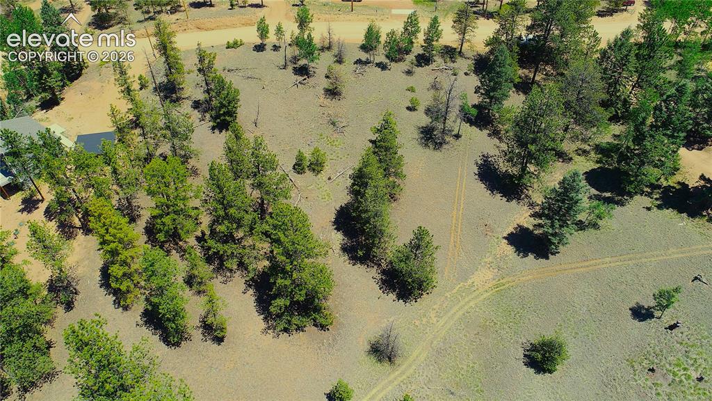 1366 N Mountain Estates Road Florissant CO 80816