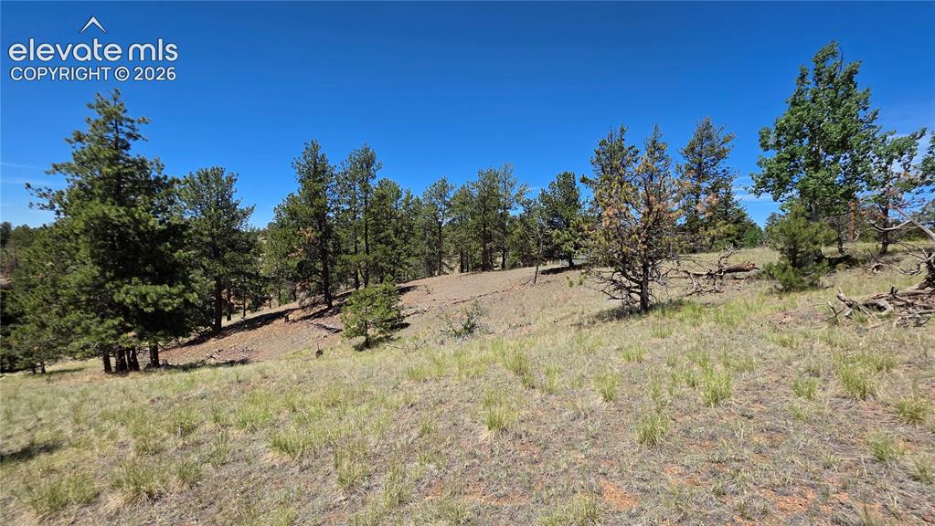 1366 N Mountain Estates Road Florissant CO 80816