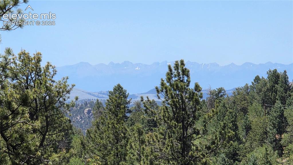 1366 N Mountain Estates Road Florissant CO 80816