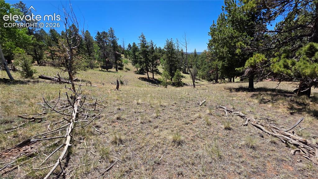1366 N Mountain Estates Road Florissant CO 80816