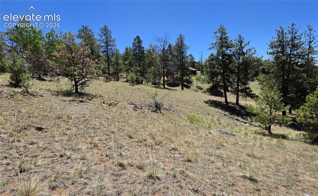 1366 N Mountain Estates Road Florissant CO 80816