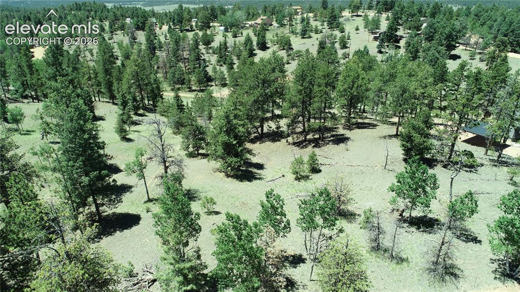 1366 N Mountain Estates Road Florissant CO 80816