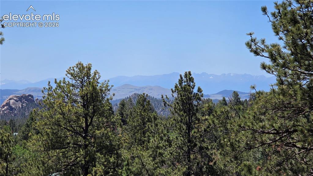 1366 N Mountain Estates Road Florissant CO 80816