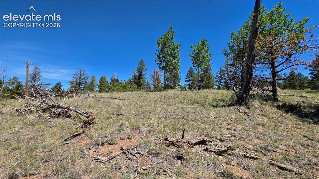 1366 N Mountain Estates Road Florissant CO 80816