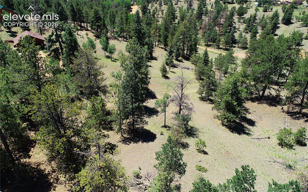 1366 N Mountain Estates Road Florissant CO 80816