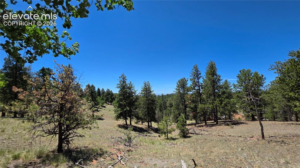1366 N Mountain Estates Road Florissant CO 80816