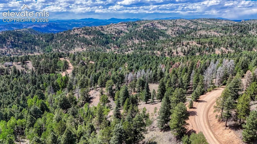 783 Bennett Drive Cripple Creek CO 80813