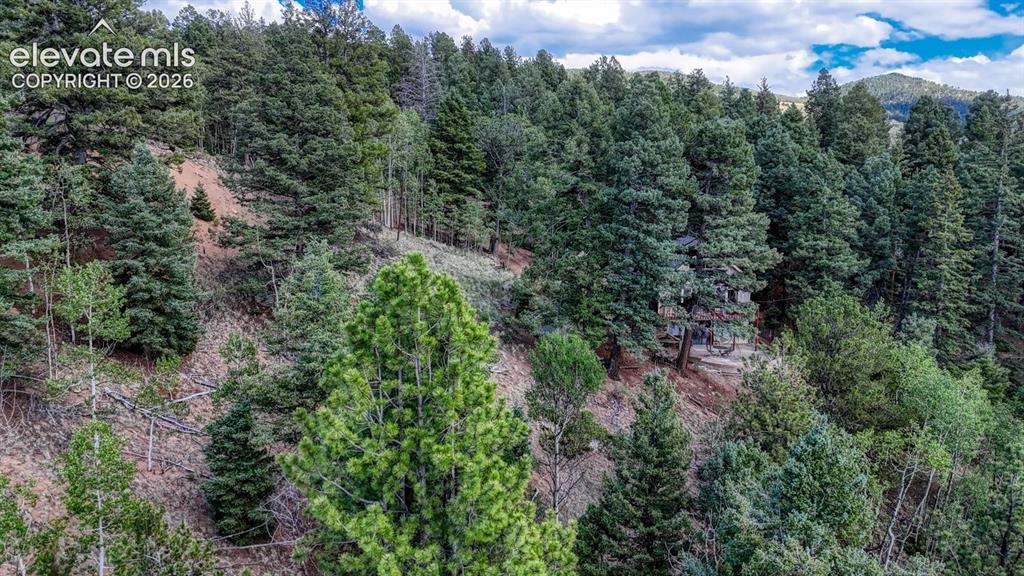 783 Bennett Drive Cripple Creek CO 80813