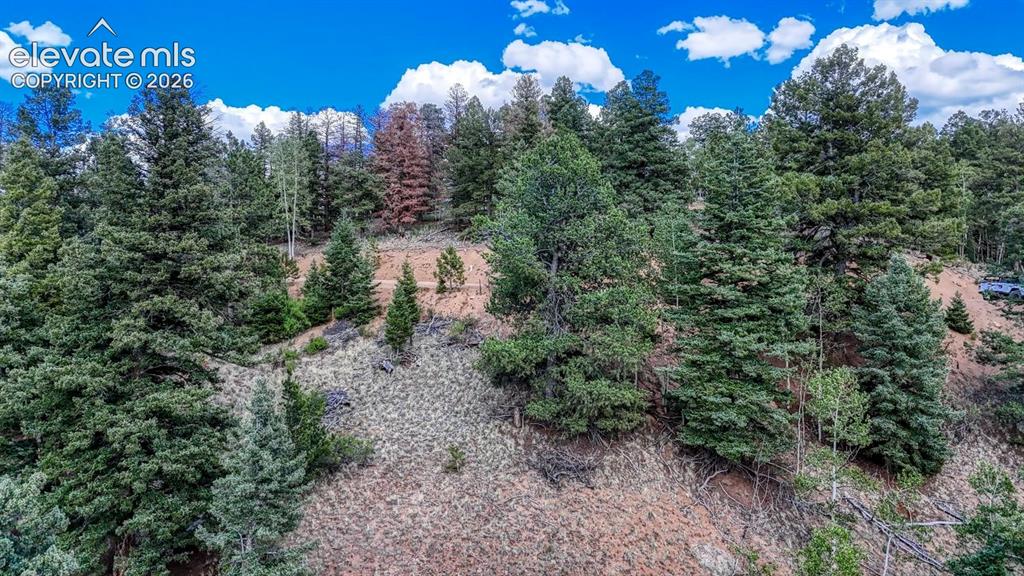 783 Bennett Drive Cripple Creek CO 80813