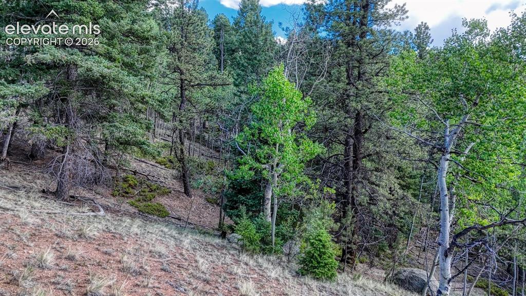 783 Bennett Drive Cripple Creek CO 80813
