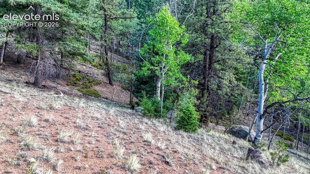 783 Bennett Drive Cripple Creek CO 80813