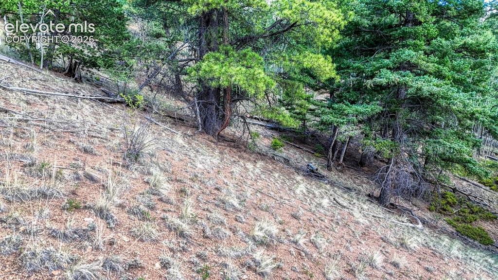 783 Bennett Drive Cripple Creek CO 80813