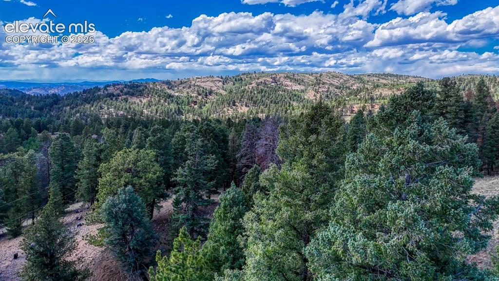 783 Bennett Drive Cripple Creek CO 80813