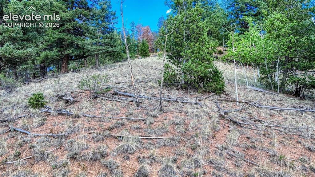 783 Bennett Drive Cripple Creek CO 80813