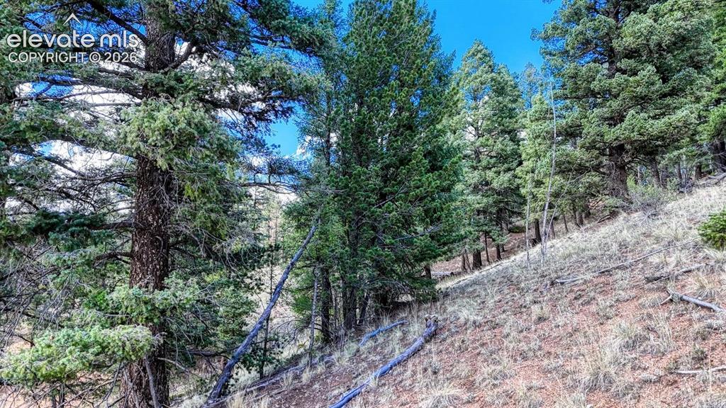 783 Bennett Drive Cripple Creek CO 80813
