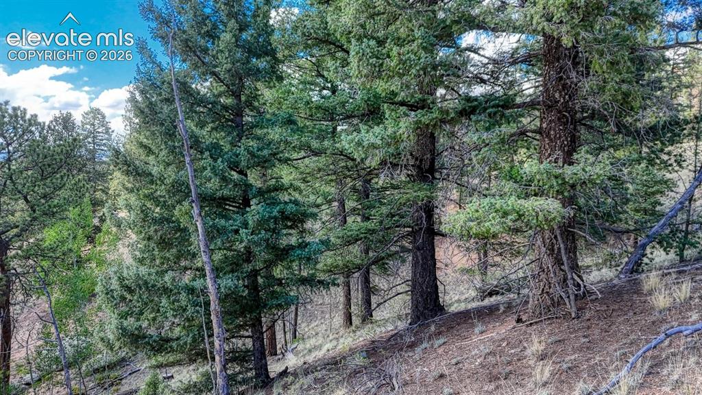 783 Bennett Drive Cripple Creek CO 80813