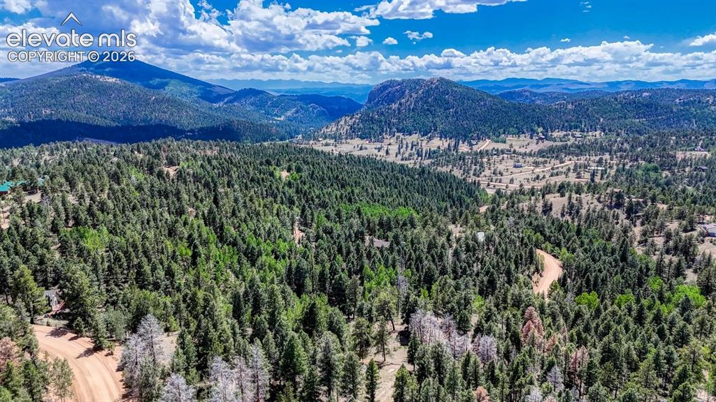 783 Bennett Drive Cripple Creek CO 80813