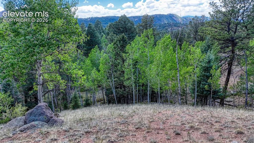 783 Bennett Drive Cripple Creek CO 80813