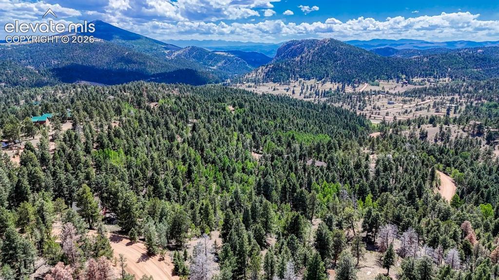 783 Bennett Drive Cripple Creek CO 80813
