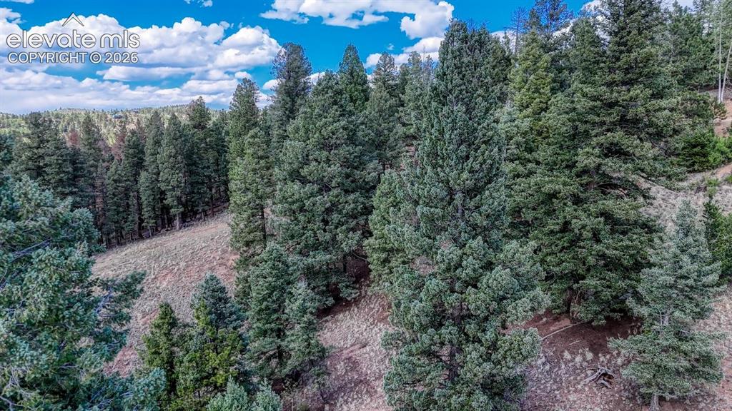 783 Bennett Drive Cripple Creek CO 80813