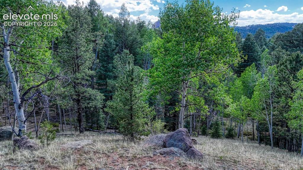 783 Bennett Drive Cripple Creek CO 80813