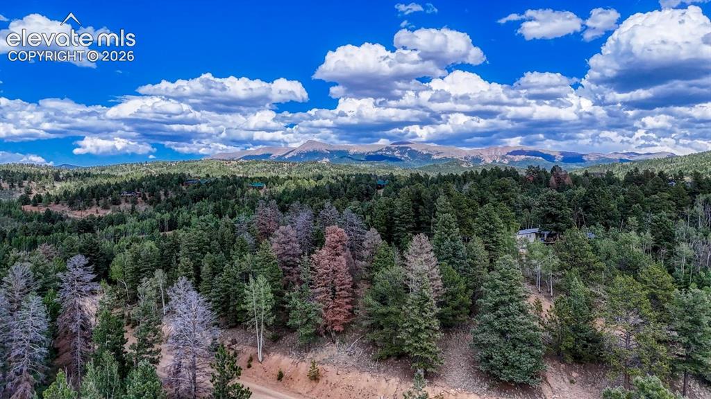 783 Bennett Drive Cripple Creek CO 80813