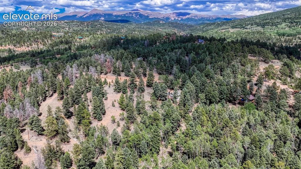 783 Bennett Drive Cripple Creek CO 80813