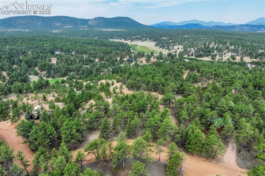 39 Reed Drive Florissant CO 80816