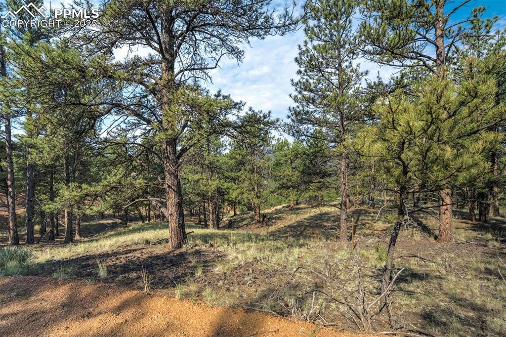 39 Reed Drive Florissant CO 80816