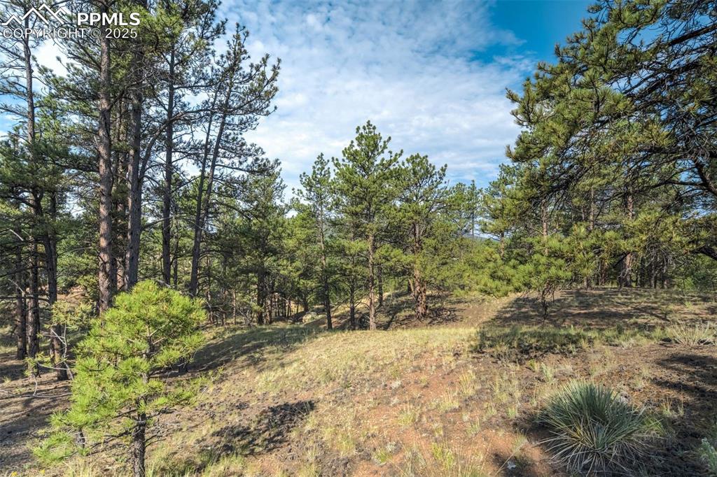 39 Reed Drive Florissant CO 80816
