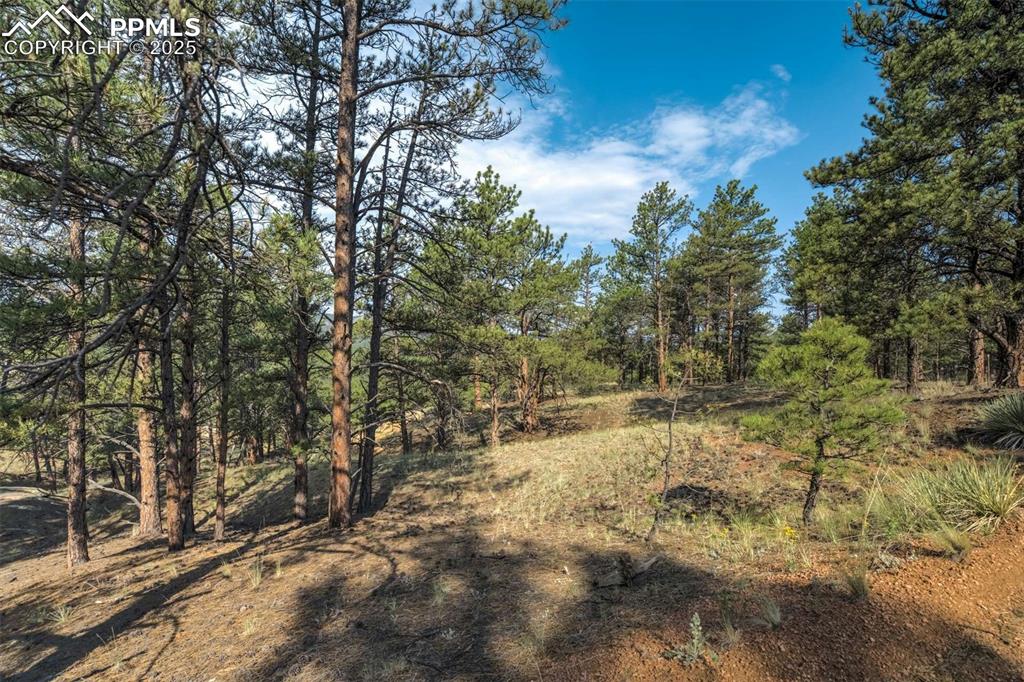39 Reed Drive Florissant CO 80816