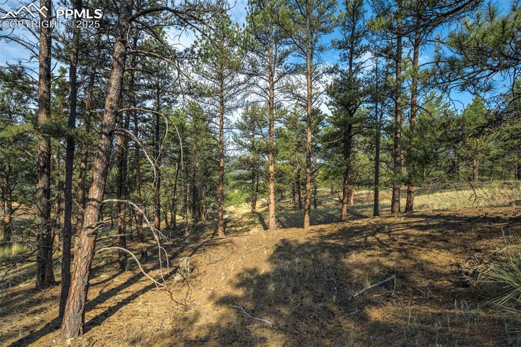 39 Reed Drive Florissant CO 80816